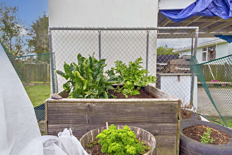 143 Duke Street Opotiki and Surrounds_10