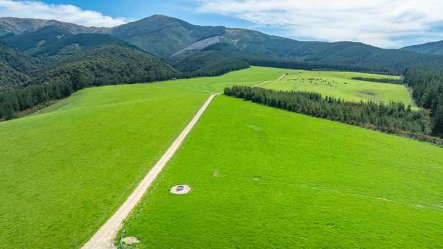 Quarry Road Loburn_4