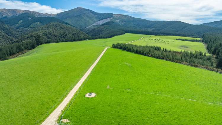 Quarry Road Loburn_4