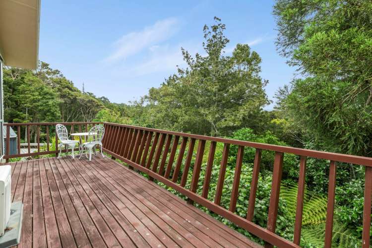 77 Shetland Street Glen Eden_8