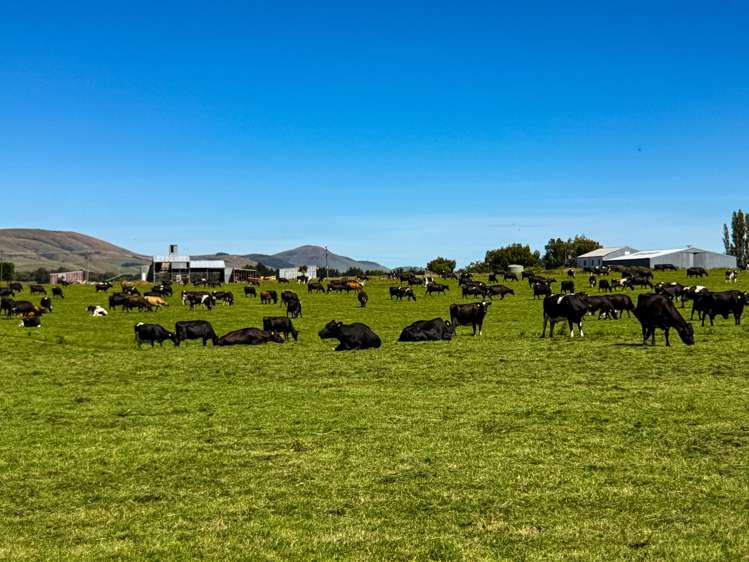 10 Roy Road Clutha_6