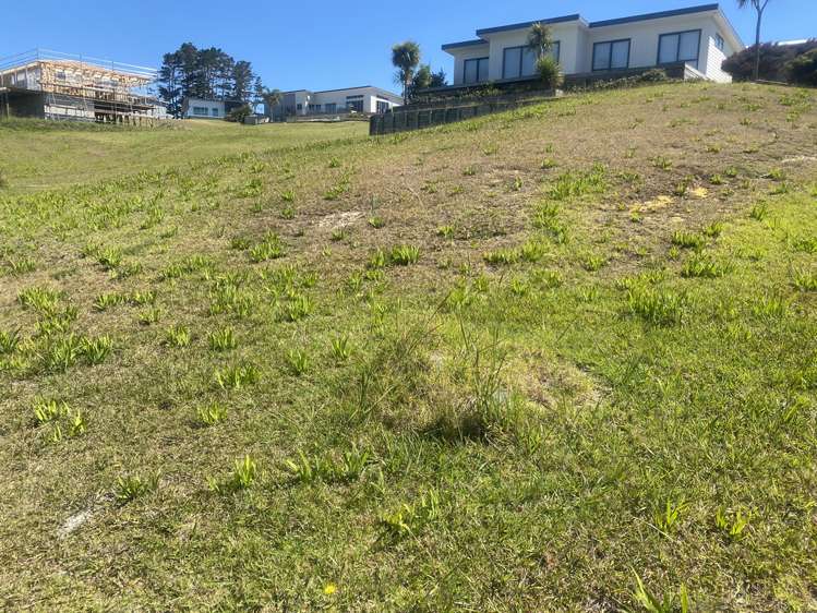 19 Akeake Crescent Karikari Peninsula_4