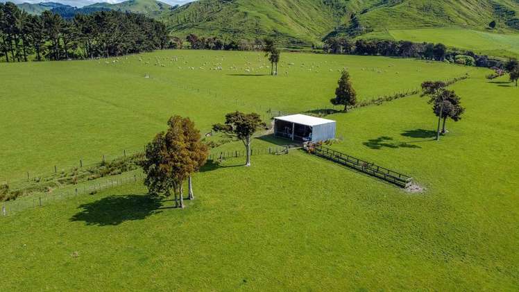 1614 Hinemoa Valley Road Pahiatua_5