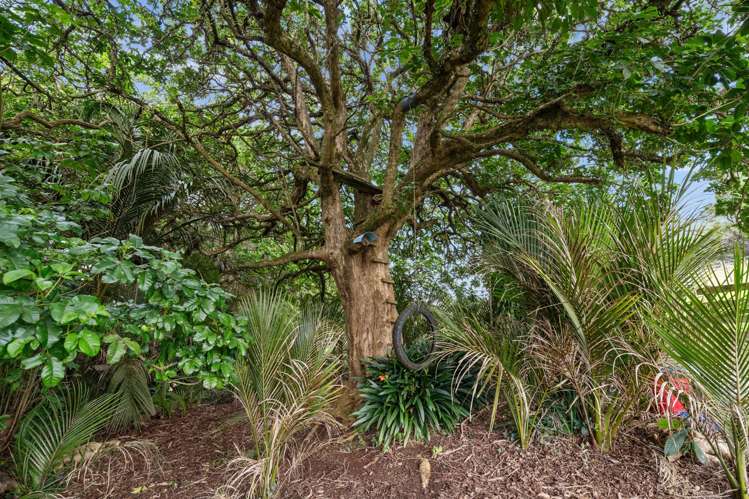 1065 Snooks Road Maungakaramea_20