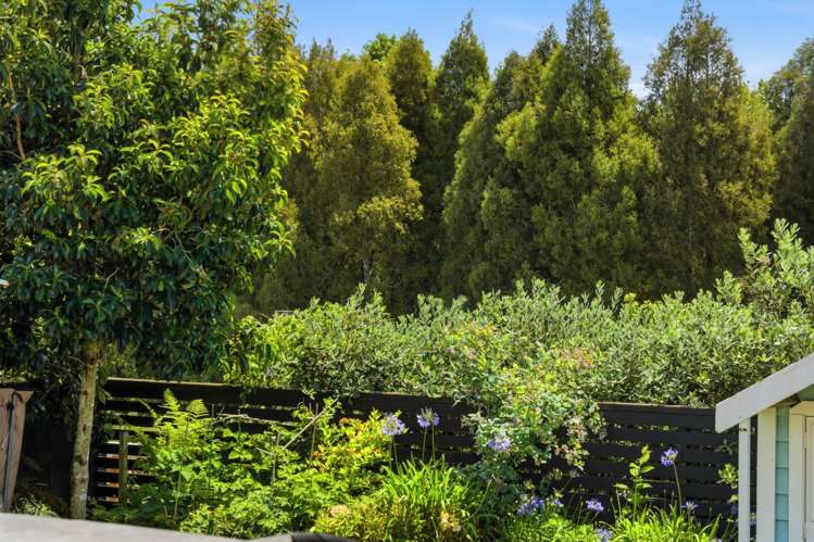 6 Gumtree Lane Omokoroa_10