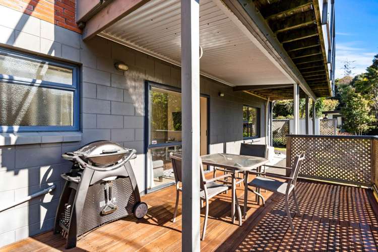 28 Carlton Street Hillsborough_23