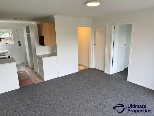 1C Cameron Road Hamilton East_4