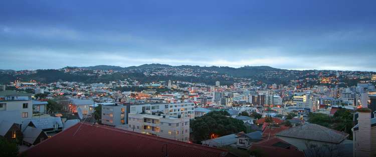 20 Stafford Street Mount Victoria_1