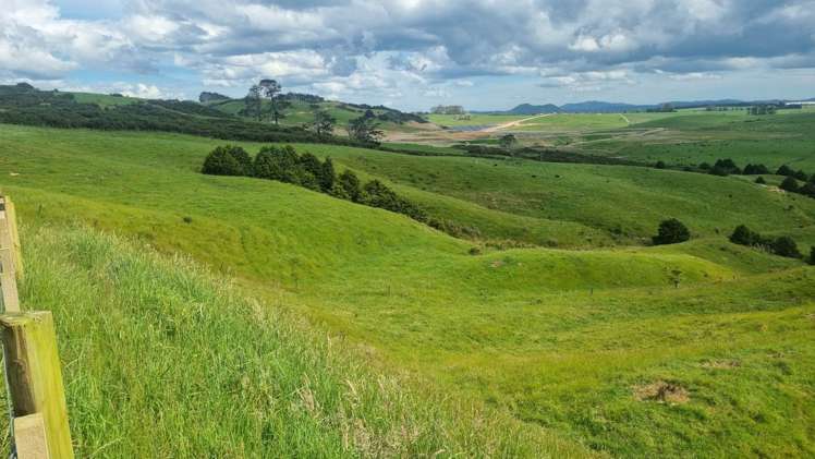 Okokako Road Waimate North_10
