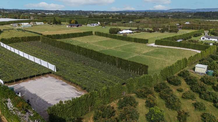 865B Oropi Road Oropi_10