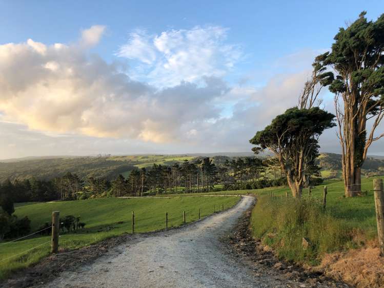 689 Mangatu Road Dargaville Surrounds_13