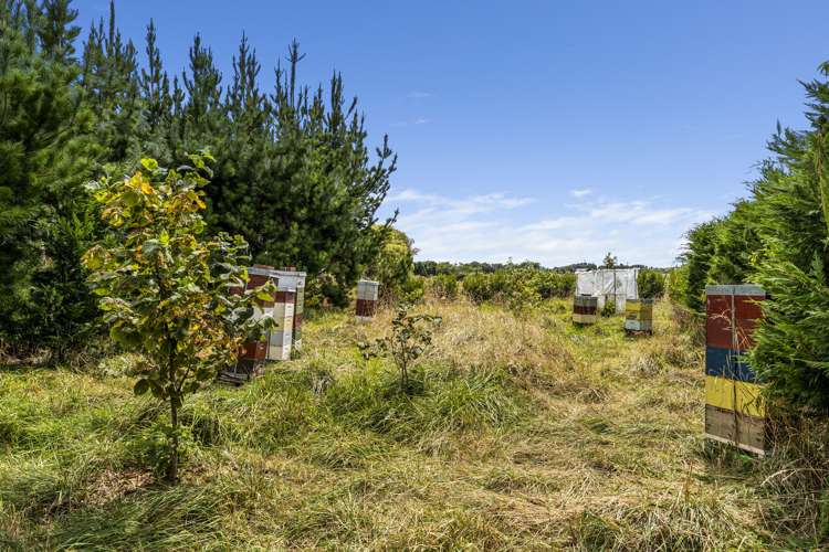 318 Kuku Beach Road Kuku_20