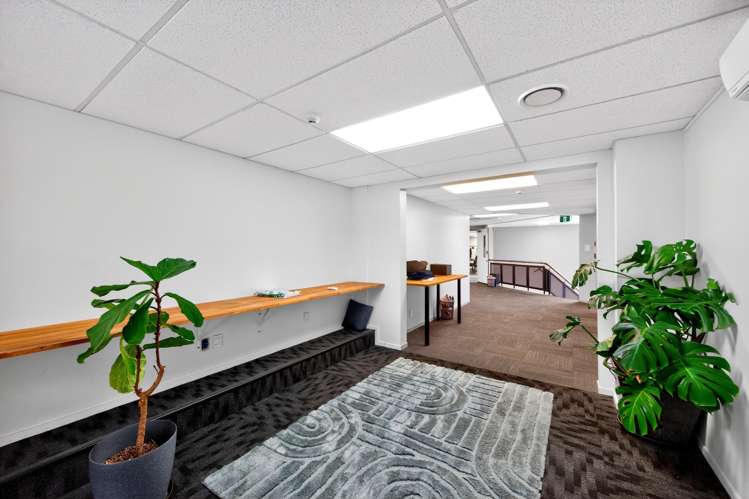 8 Haultain Street Eden Terrace_5