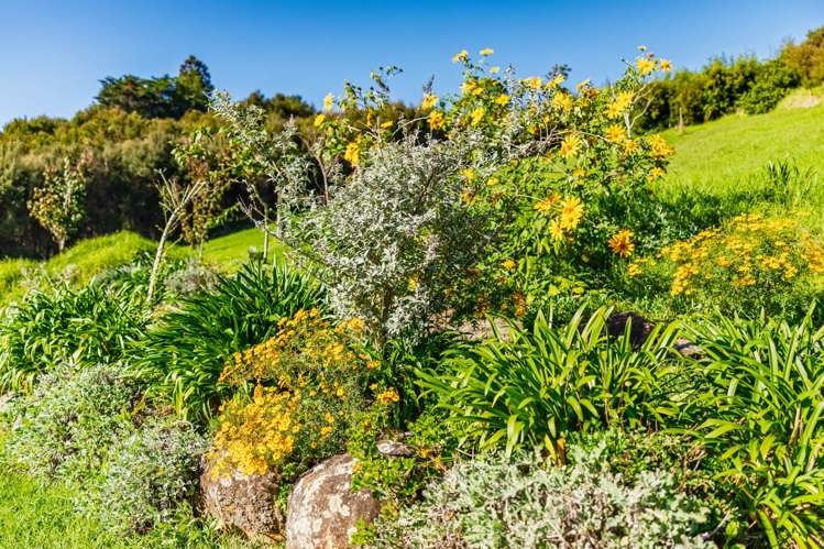 22 Onekura Road Kerikeri_33