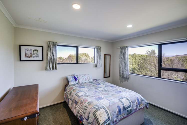 384 Dartmoor Road Puketapu_10