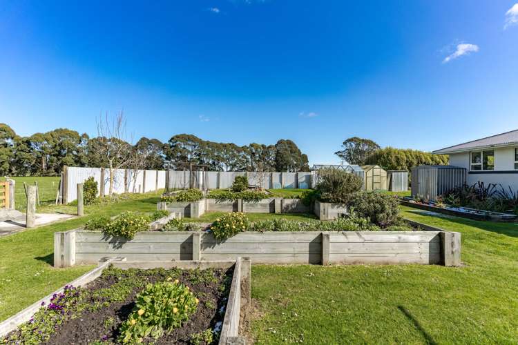 177 Maddisons Road Templeton_13