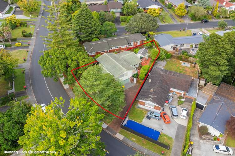 55 David Avenue Hillpark_15