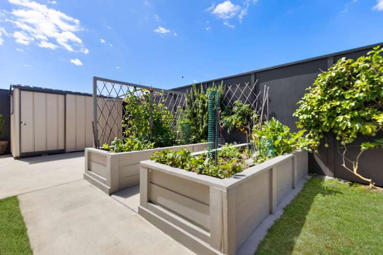 16 Wahaika Way Papamoa_5