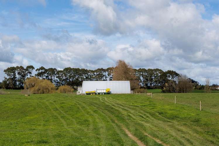 180 Cameron Road Morrinsville_12