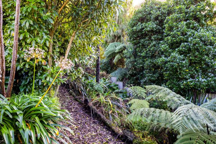 20 Douglas Street Hawera_21