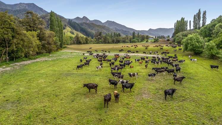 9 Nuggety Creek Road Longford_9