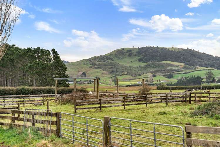 180 Andrews Road Onewhero_30