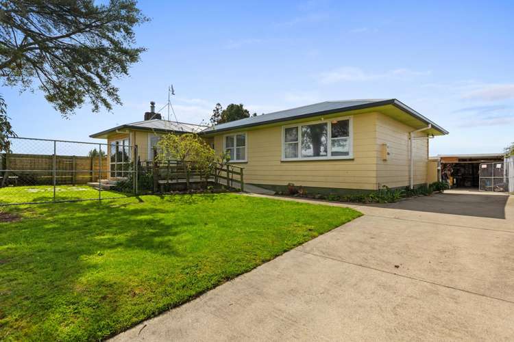 39 Harris Street Te Puke_1