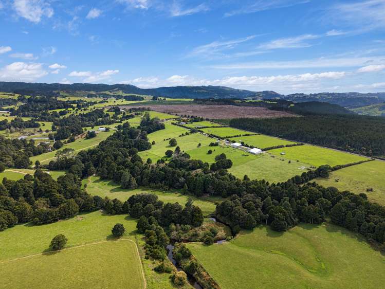 729 Puhipuhi Road Whakapara_38