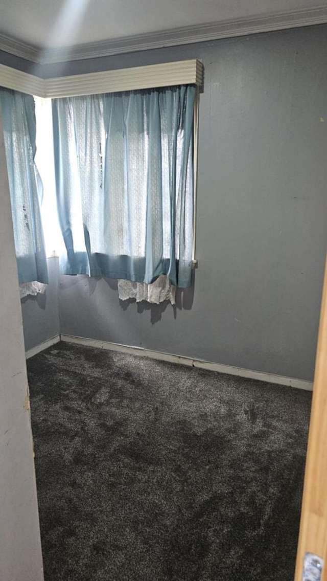 23 Baird Road Tokoroa_2