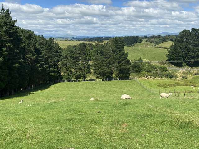 55 Beatty Road Dannevirke_1