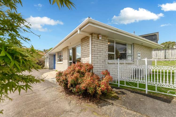 21A Warrington Street Matua_0