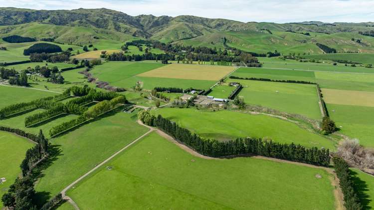 1443 Omihi Road Omihi_14