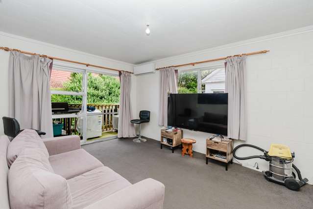 1/289 Ulster Street Whitiora_3
