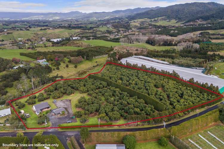 123 Woodland Road Katikati_31