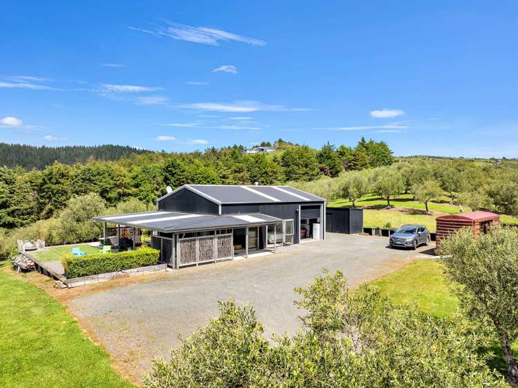 88 Leccino Valley Road Mangonui_13