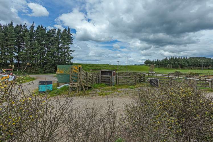 672 Ruawhata Road Pahiatua_13