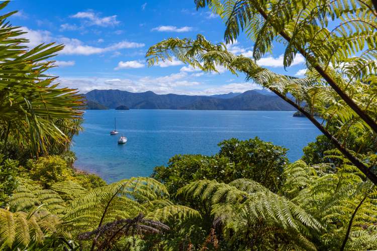 425 Port Underwood Road Whatamango Bay_25