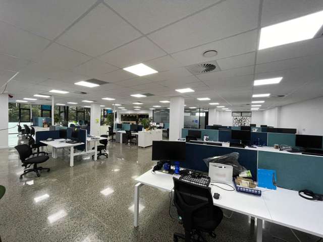 4 Murdoch Road Grey Lynn_2