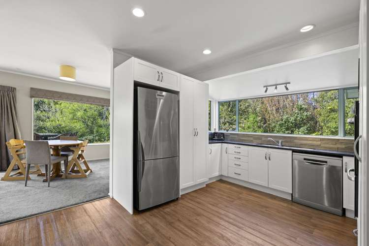 1058 Old Mountain Road Raglan_8