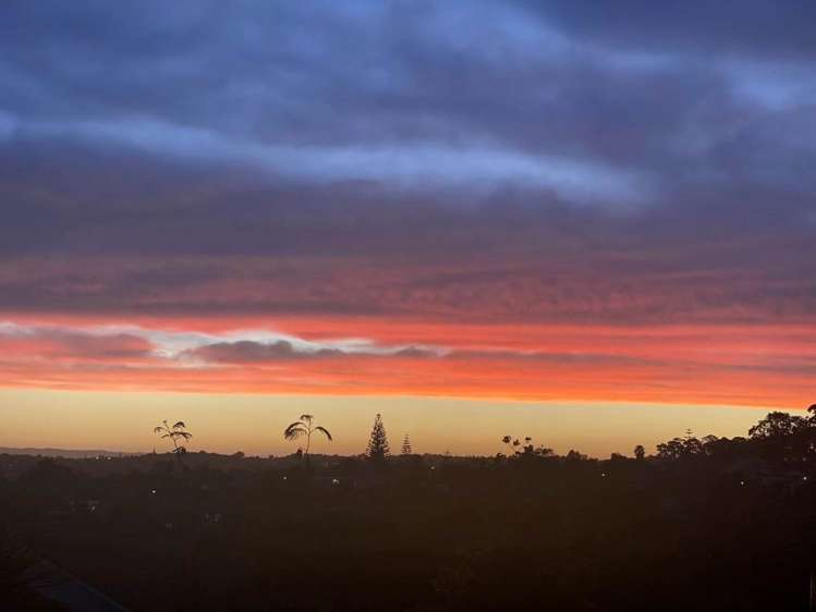 2/18 Kenmure Avenue Forrest Hill_25