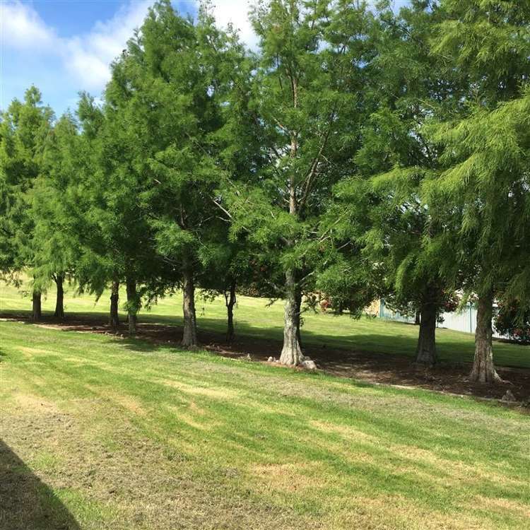 5 Mira Place Windsor Park_16