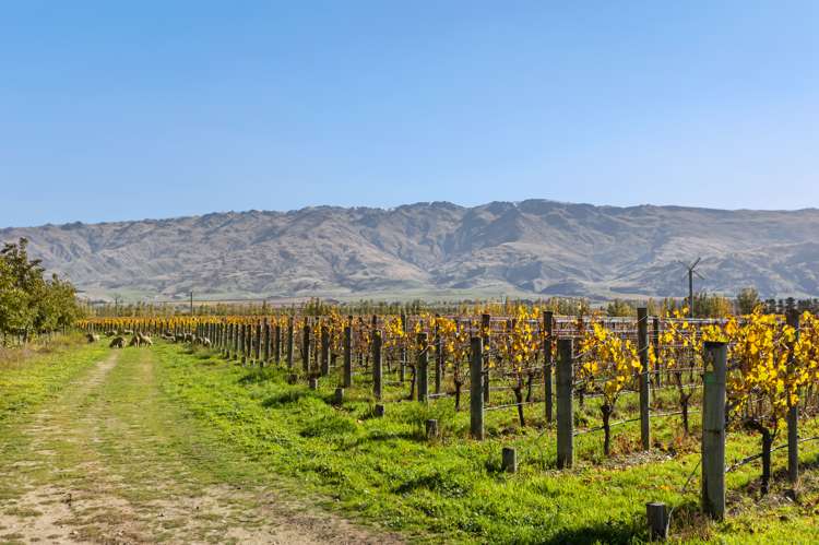 198/297 Loop Road Bendigo_7