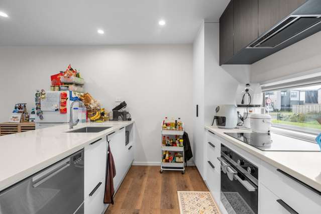 4 Selkirk Lane Hamilton Lake_2