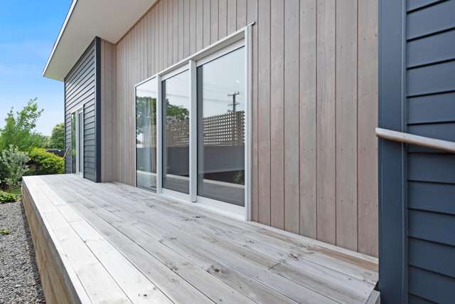 33 Keepa Street Levin_3