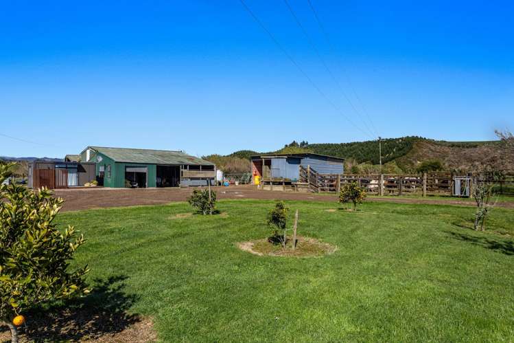 294 Tirohanga Road Opotiki_9