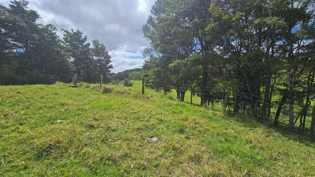 1247 Kirikopuni Valley Road Tangiteroria_4