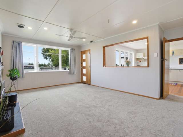 1299 Park Road Te Awamutu_3