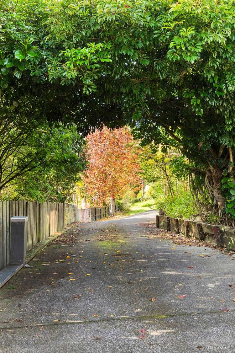 2/36 Regency Place Sunnynook_10