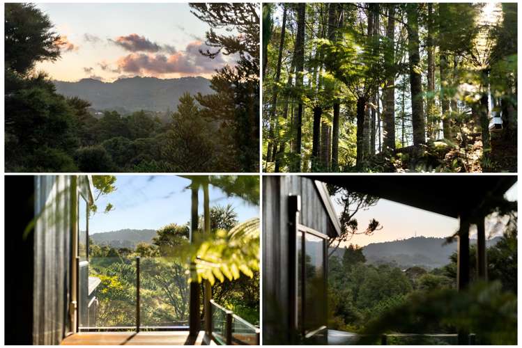 154 Carter Road Oratia_11