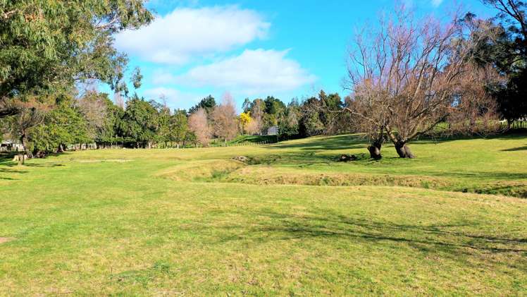 89 Victoria Avenue Dannevirke_9